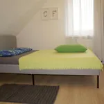 Ubytování v soukromí Dom Przy Borowinie Kolobřeh