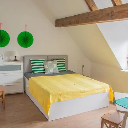 Privat bolig Dom Przy Borowinie *