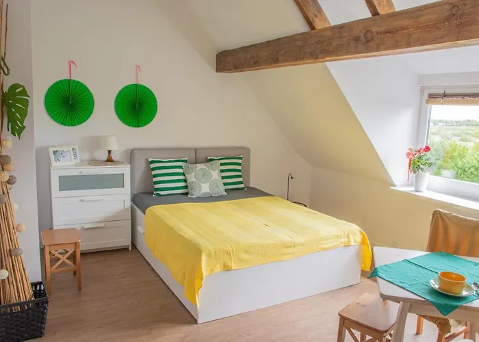 Проживание в семье Dom Przy Borowinie *